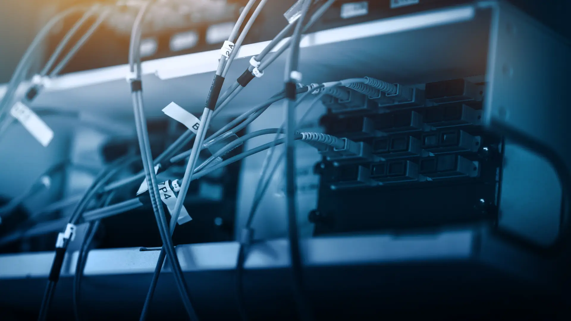 WordPress hosting Srbija : server infrastruktura i web tehnologije